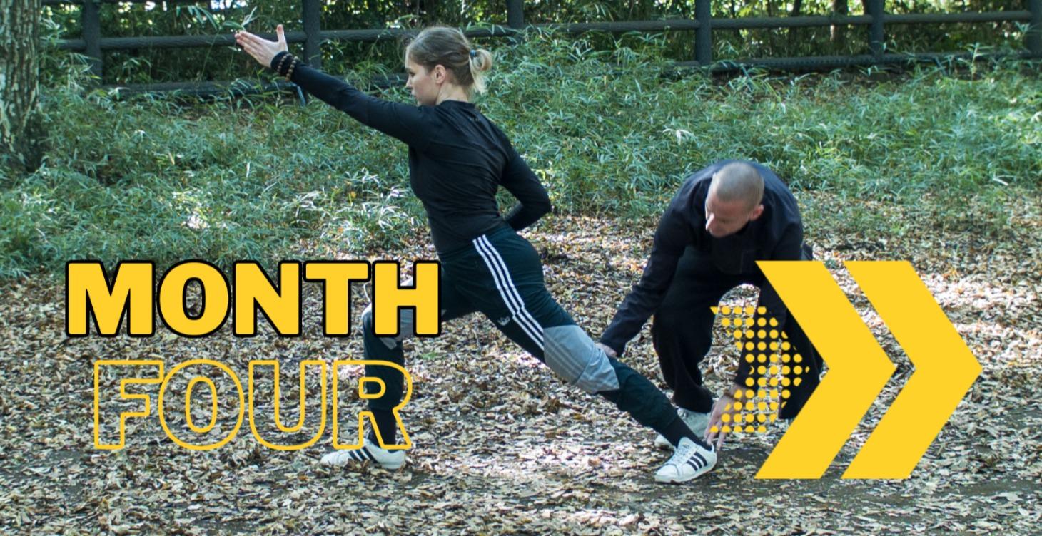 ShiBaFa Course Month 4