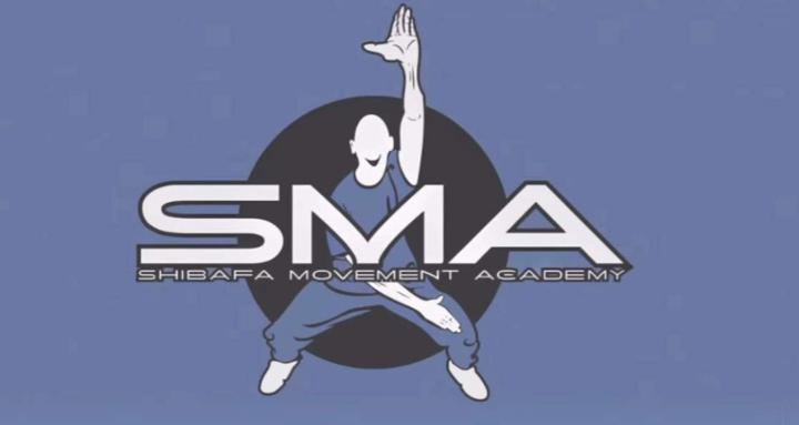 ShiBaFa Movement Academy