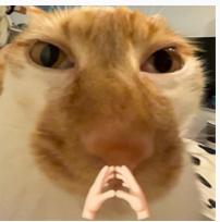 Meow Meow