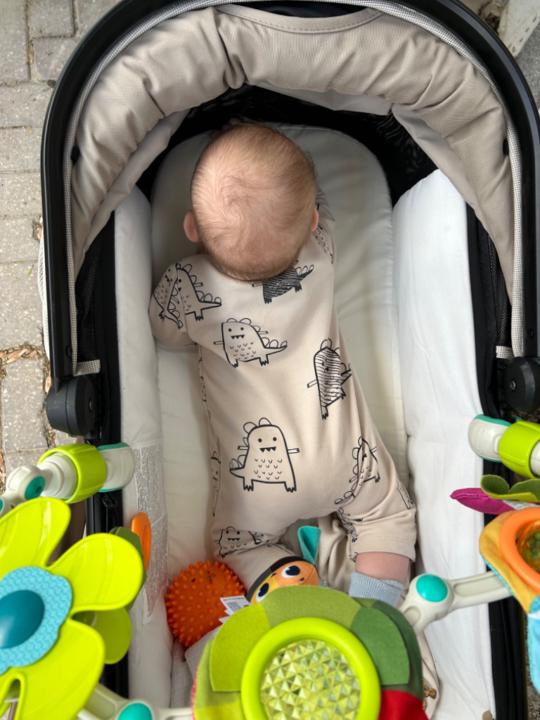 אדוה אוסטרובסקי