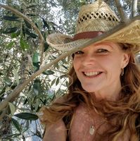Sue Webber