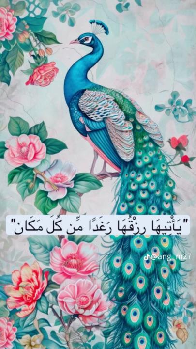 Alaa Alturk
