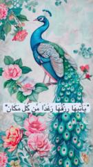 Alaa Alturk