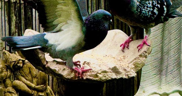 Stephen’s skool page 