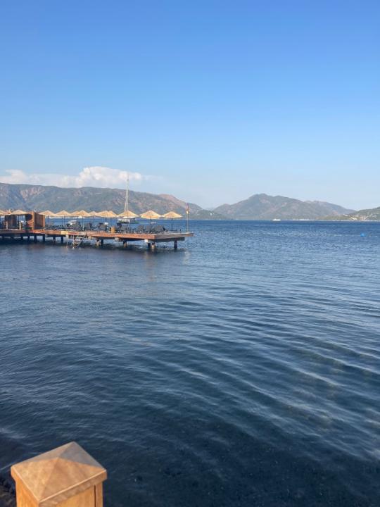 Betül Sivriler