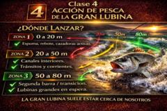 Prueba Skool
