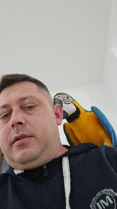 Tancu Florian Catalin