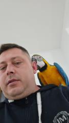 Tancu Florian Catalin