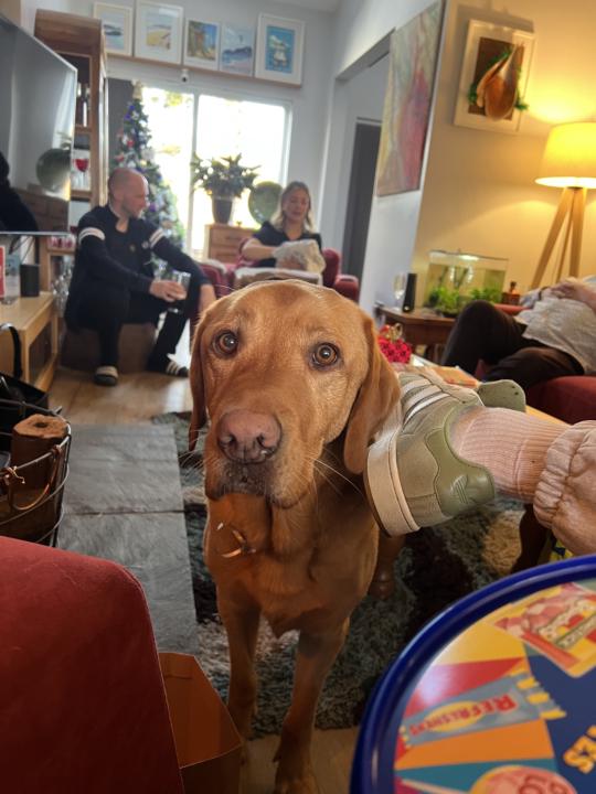 MERRY CHRISTMAS YOU BEAUTIFUL LOT