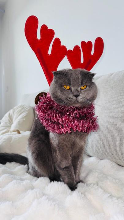 Rebeca Fernández Macías