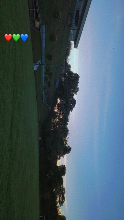 Laura Vanegas Mendoza