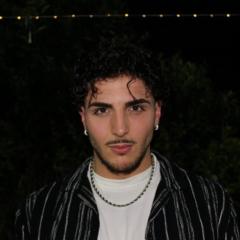 Mauro Cristaudo