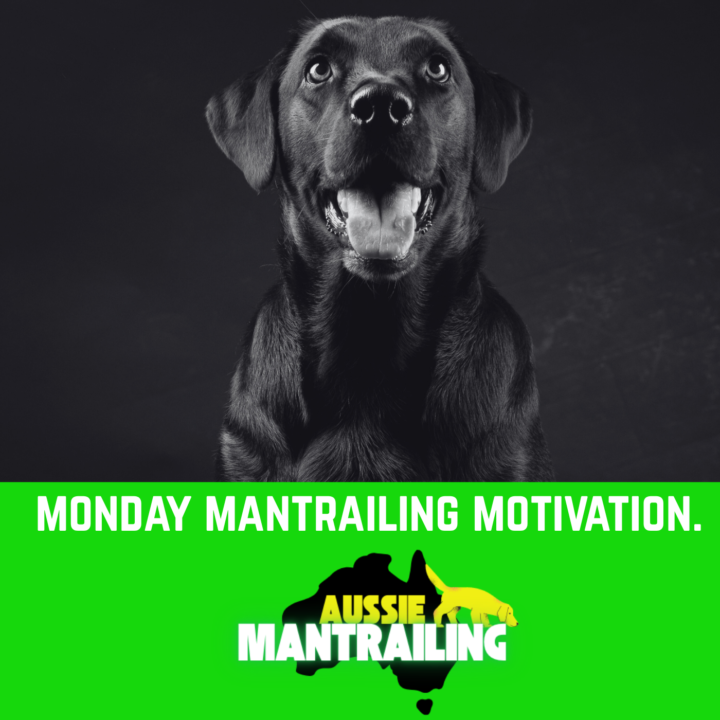 Monday Mantrailing Motivation 