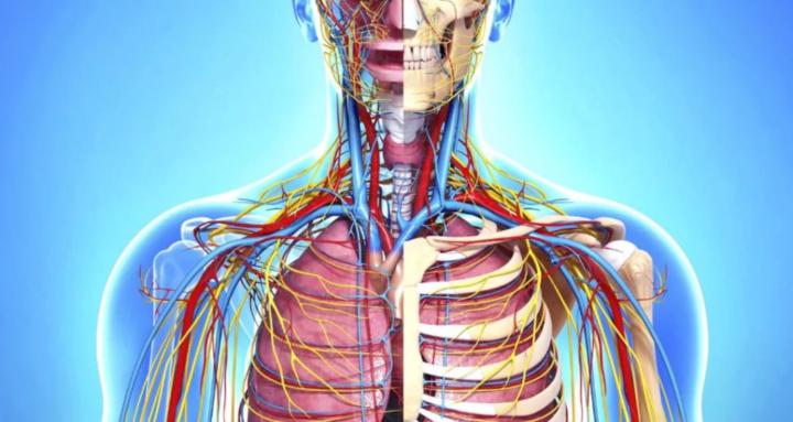 Inside Out Learning Lab