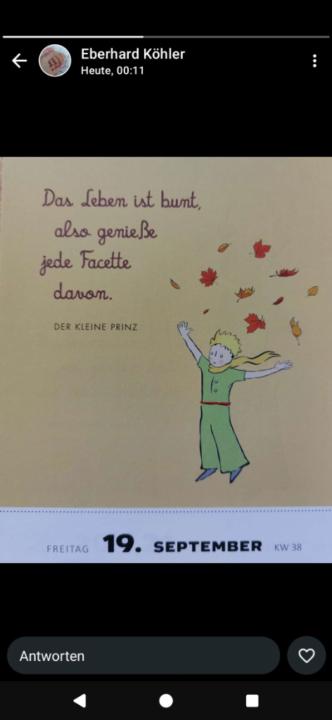 Doreen Fink