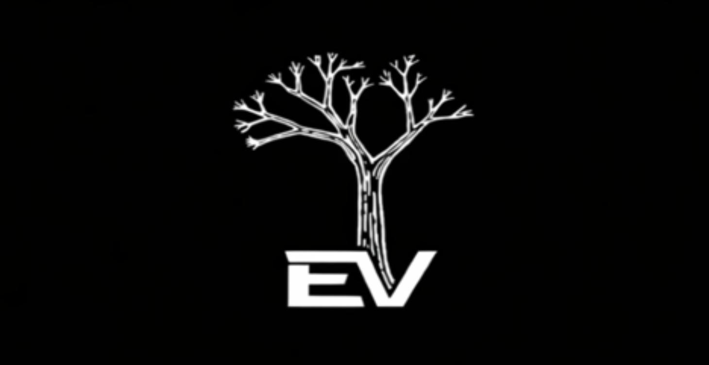 Energy, Vitality, Systems