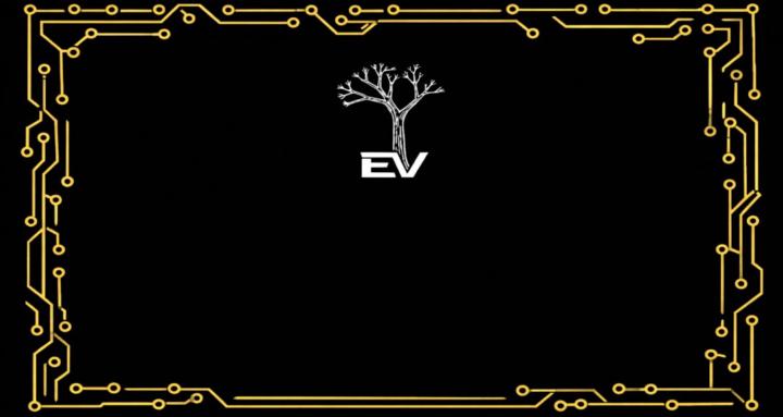 Energy, Vitality, Systems