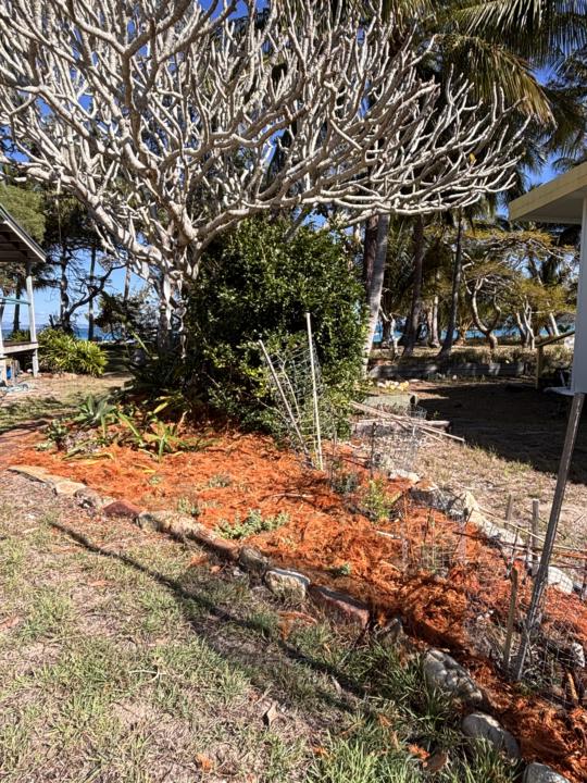 Let’s Talk Mulch