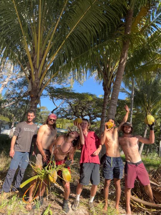 Welcome to the Coco Culture CocoCommunity! 🌴🥥