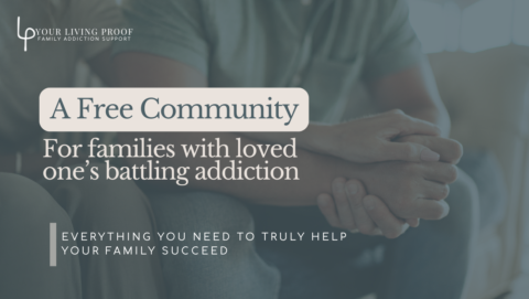 Family Addiction Support gallery image