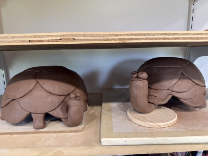 Meet Henrietta and Harry