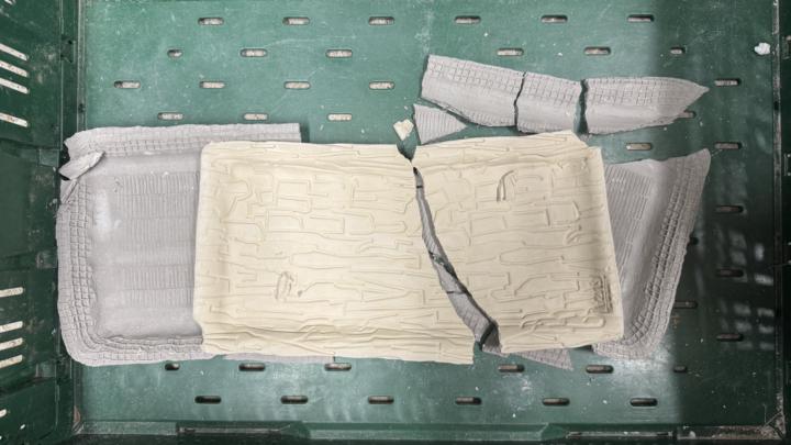 The Platter Saga: Survival of the Fittest 🥳