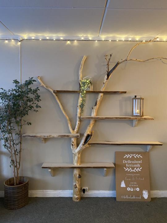 Tree shelf wall in the new store 🌲🪾🌲