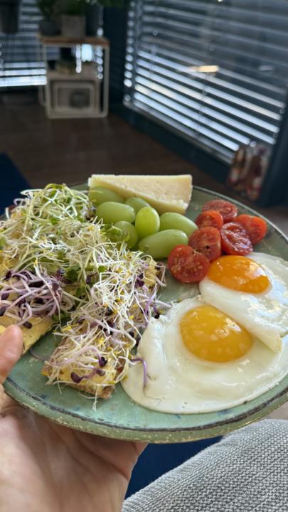 🥚 The Great Egg Question 🥚