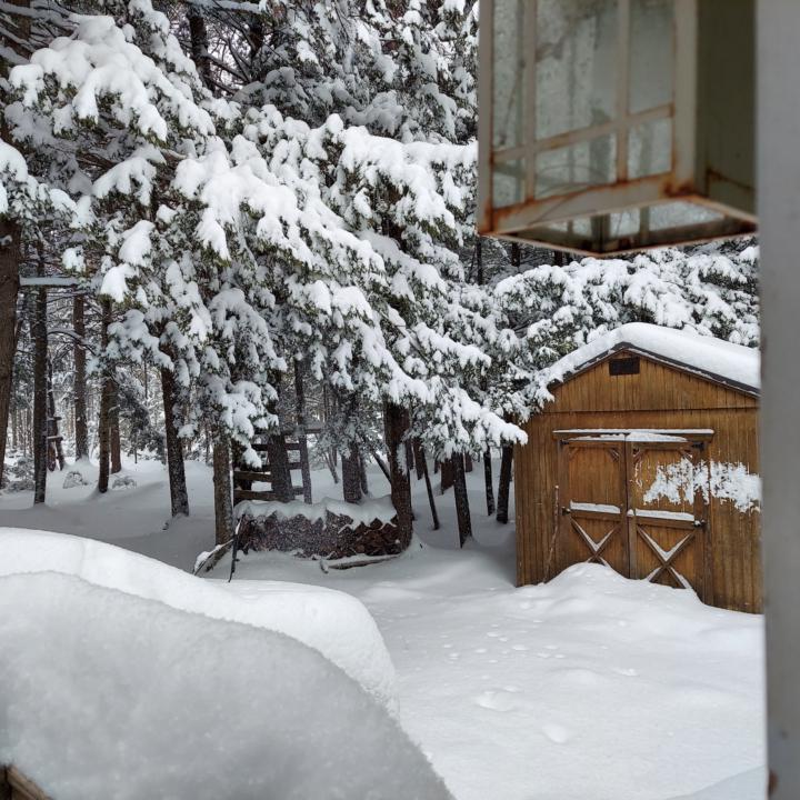 This happened overnight...