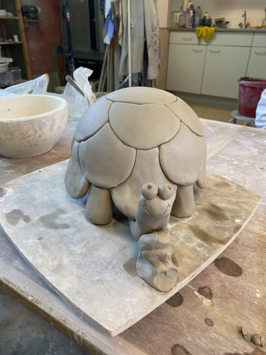 My first turtle 🐢🐢🐢