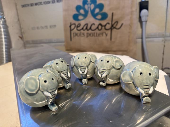 I’d like to introduce you to… the herd 💗🐘