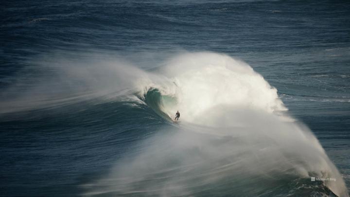 Anna Concetta Pesare