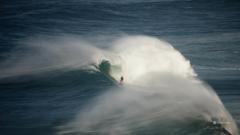 Anna Concetta Pesare