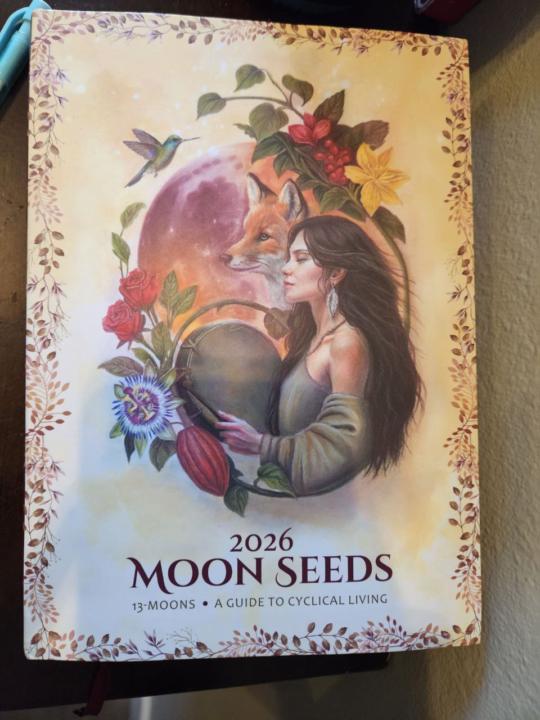 Moon Seeds Calendar - SO sweet & such nourishing vibes 🌙🌿