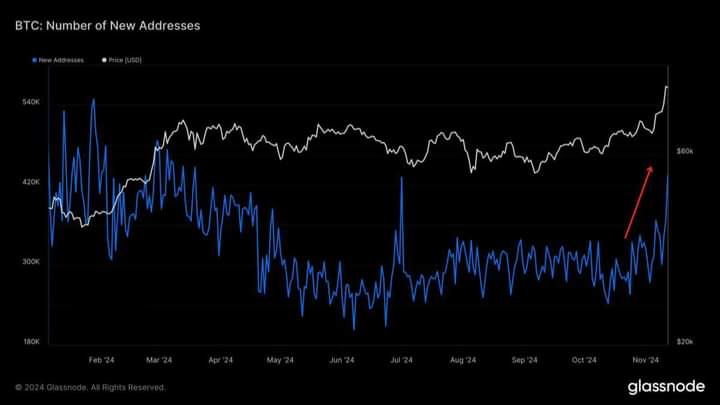 The number of new #Bitcoin addresses is rapidly increasing.   Retail is returning!🚀