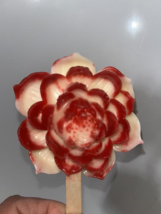 Paletas artesanales 