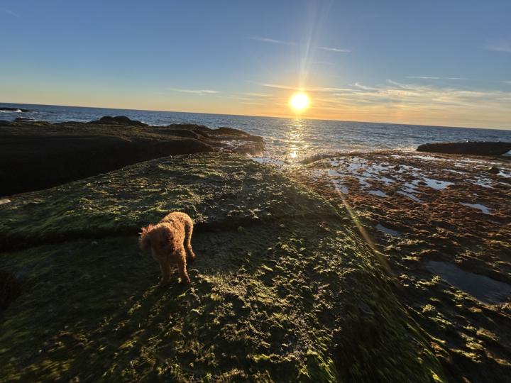 Semper Fi dog trainer compliments Ruby 