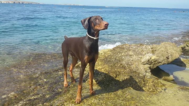 Jorge Vazquez rodriguez