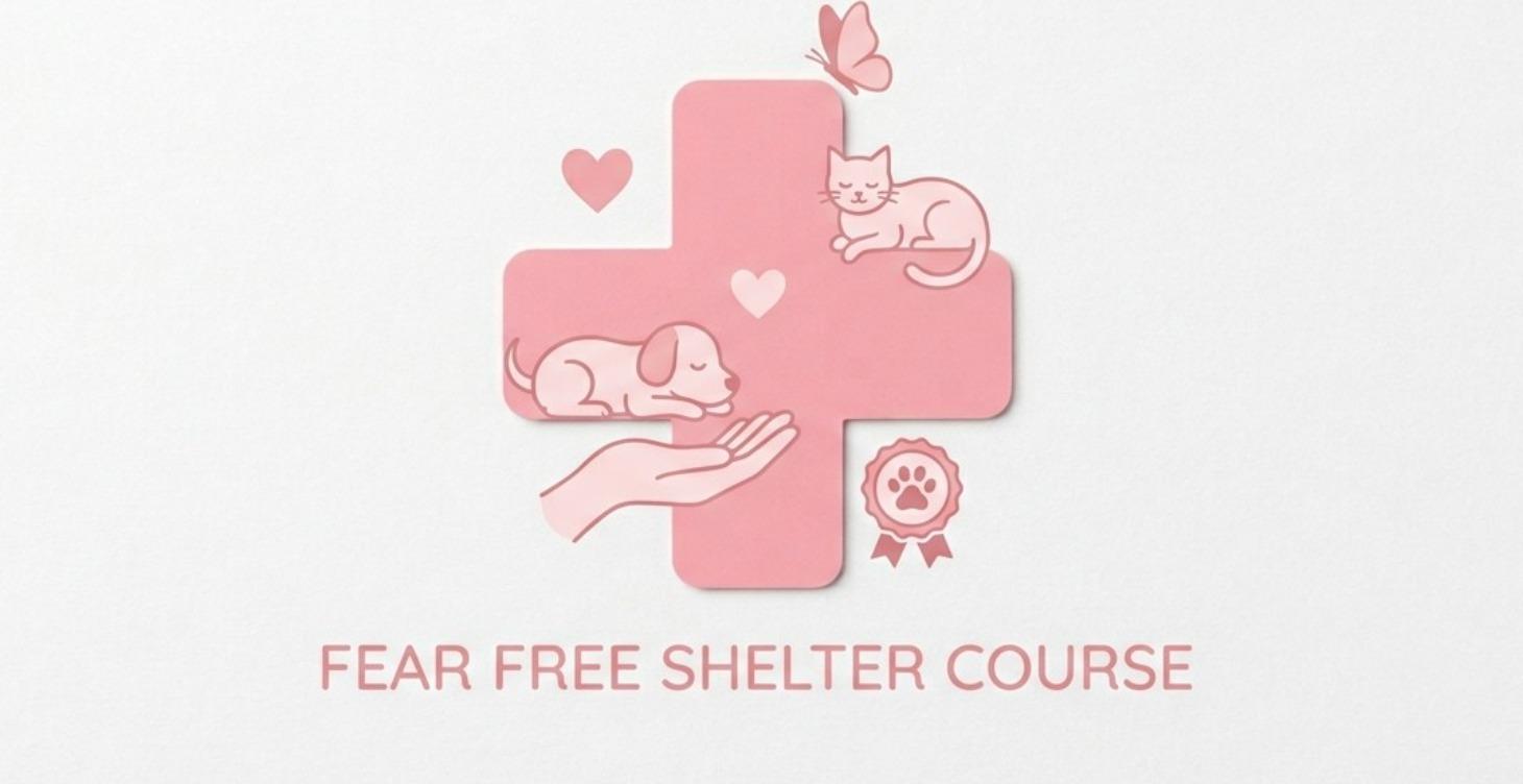 Fear Free Shelter Mastery Certification