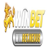 Winbet Nexus