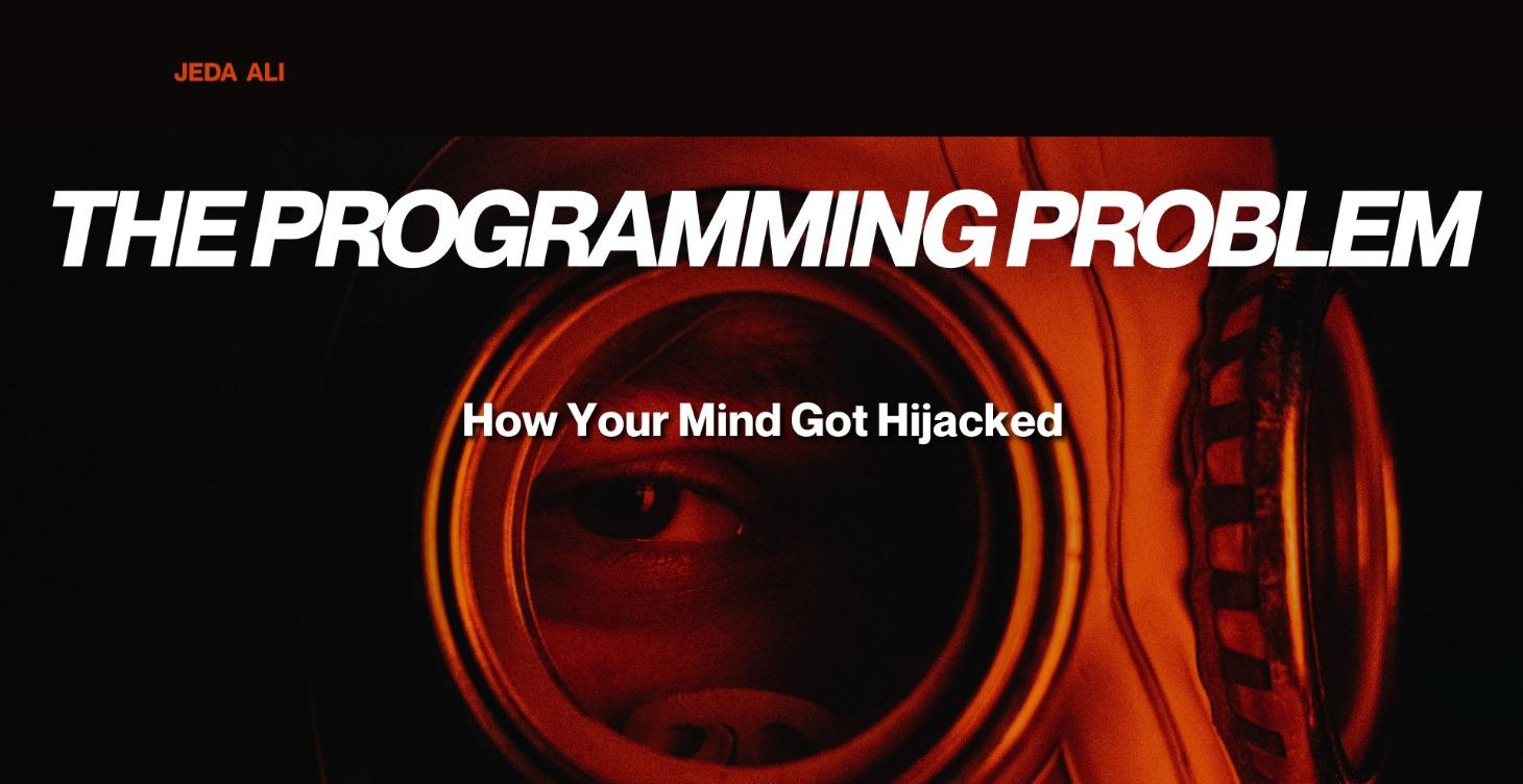 THE PROGRAMMING PROBLEM