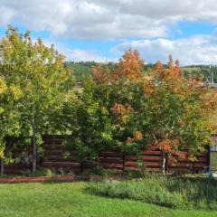 Narangerel Jambaldorj