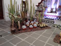 Martha Alicia Bautista de la cruz