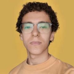 Abdelrahman Amr