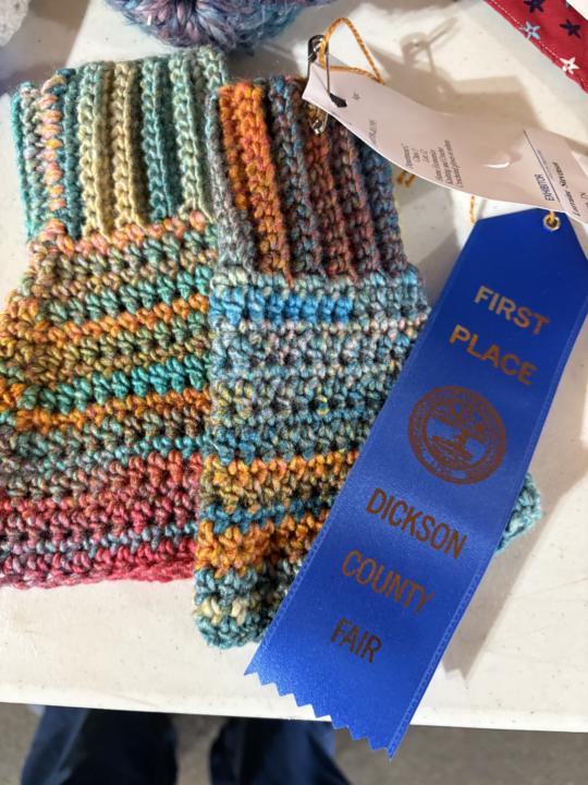 Winnings at Dickson County Fair 2025