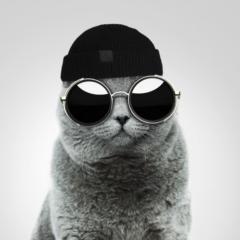 Mike Ray