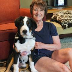 Sue Huffman
