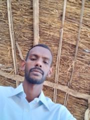 Ahmed Abied