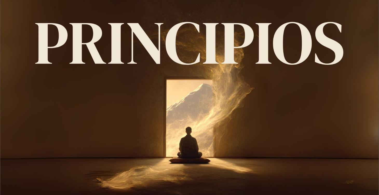 0. PRINCIPIOS