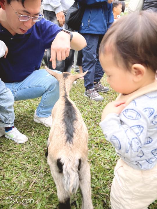 培庭 翁